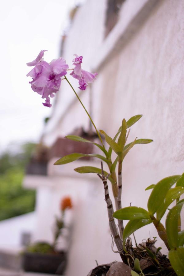 Azamat Self-Catering Apartment Pointe La Rue Esterno foto