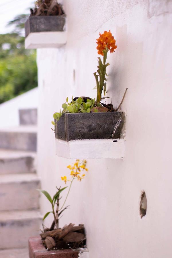 Azamat Self-Catering Apartment Pointe La Rue Esterno foto